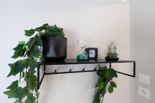 a shelf with plants and a clock and a plant at Appart'Hotel Tournusien in Tournus