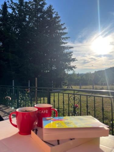 a table with two coffee cups and a book on a balcony at Vikendica Ksenija in Jasikovice