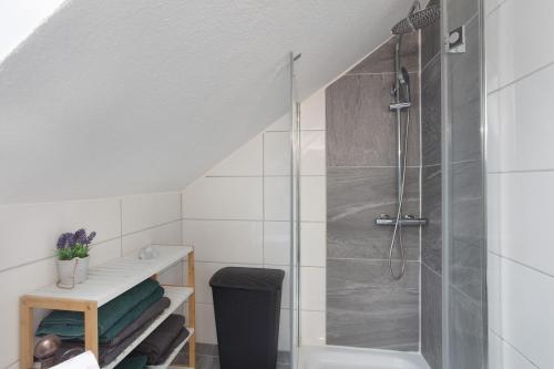 a bathroom with a shower and a toilet at Ferreira's Loft - Ferienwohnung in St. Blasien