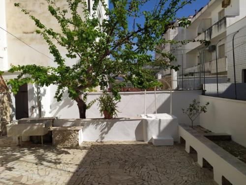 une cour avec un arbre et un bâtiment blanc dans l'établissement Casa Nettuno, à Lido Conchiglia