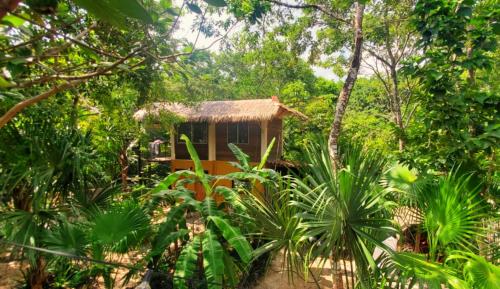Taman di luar Casa Domo