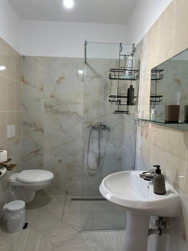 a bathroom with a shower and a sink and a toilet at Borsh Village Nest in Borsh