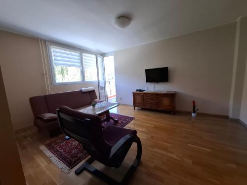 Μια τηλεόραση ή/και κέντρο ψυχαγωγίας στο Apartment Borac Travnik