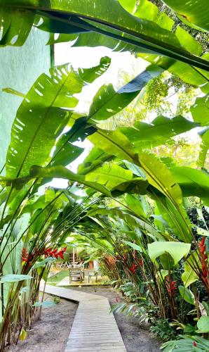 a garden with large green plants in a building at Pousada Amor de Casa in Trancoso