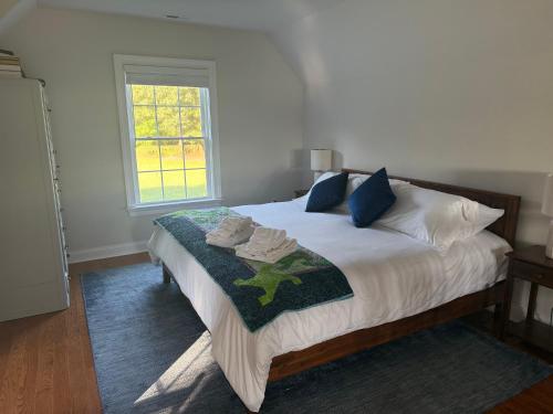 a bedroom with a large bed with blue pillows and a window at Serenity in White Stone