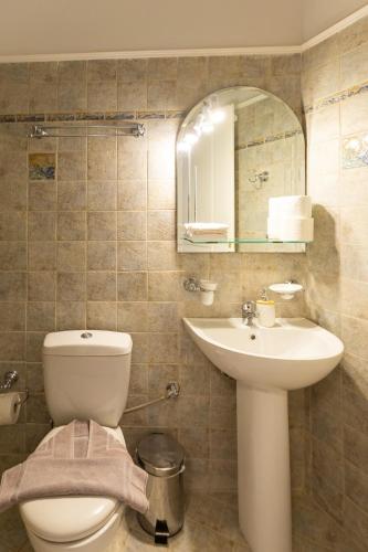 a bathroom with a toilet and a sink and a mirror at The Bridge House in Spílion