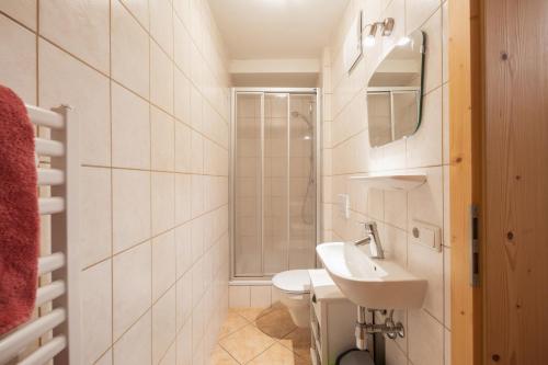 Vannituba majutusasutuses Ferienwohnung Kirchbrücke