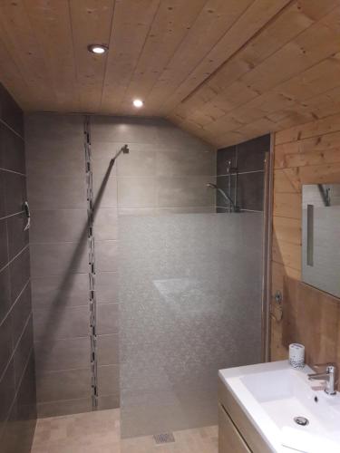 a bathroom with a shower and a sink at Chalet pour 2 personnes à 700m du Centre Ville in Gérardmer