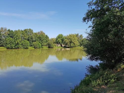 a view of a lake with trees in the background at Le Chaussis in Aron