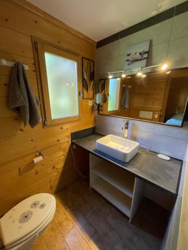 Koupelna v ubytování Chalet en bois avec très belle vue sur la montagne
