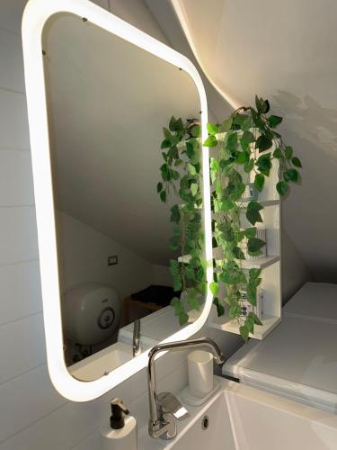 een wastafel in de badkamer met een spiegel en een plant bij Bellavita Rooms-Matera Arco 34 in Matera