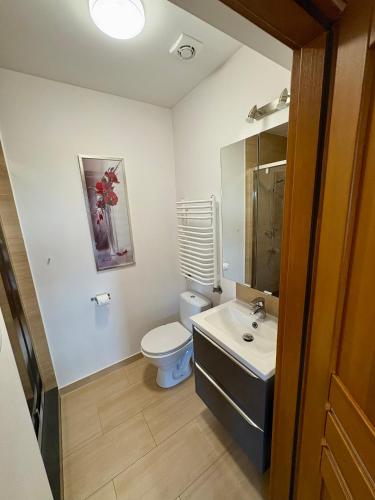 a bathroom with a toilet and a sink at Domek Buflak in Nowy Targ