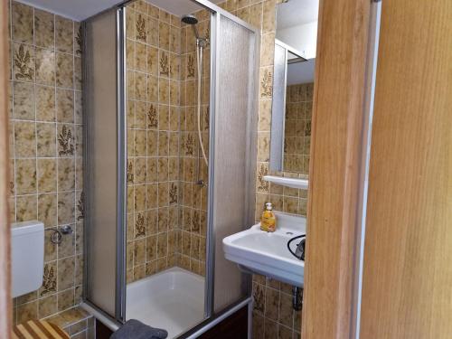 a bathroom with a shower and a sink at Pension Haus Sonneck in Wildemann