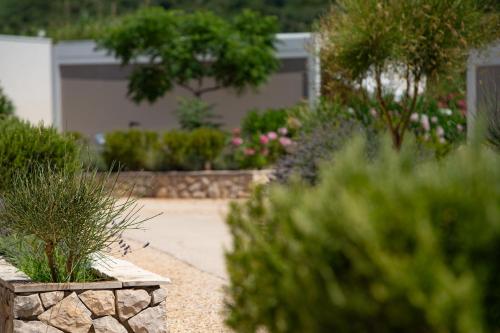 Κήπος έξω από το Terra Park Phalaris
