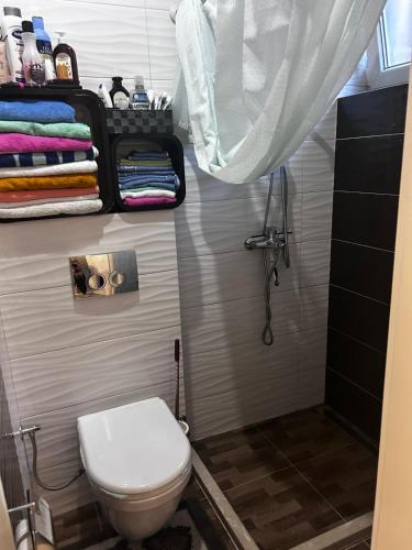 a small bathroom with a toilet and a shower at Vila Lush in Sarajevo