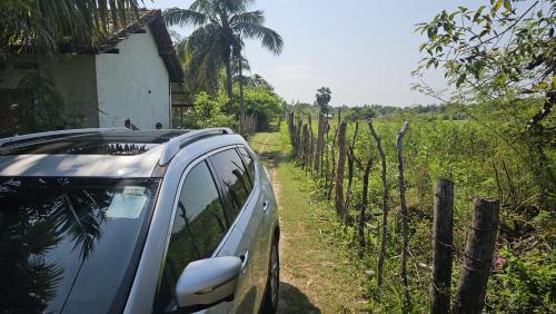 a car parked on a dirt road next to a vineyard at Nilaveli house Stay in Kumpurupiddi