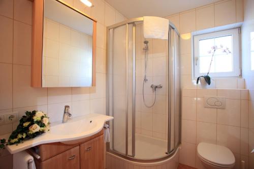 a bathroom with a shower and a sink and a toilet at Appartement Angelika in Brixen im Thale