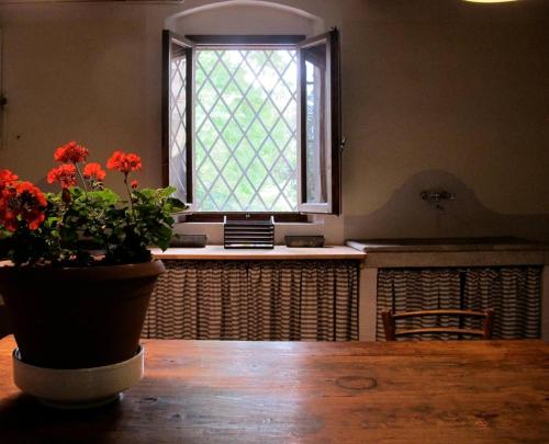 a table with a window and a potted plant on it at Castello Sonnino in Montespertoli