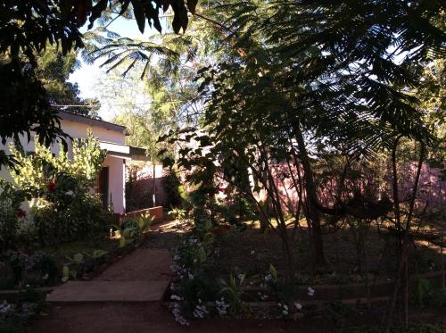 a garden with trees and flowers in front of a house at Tabonina Guesthouse in Livingstone