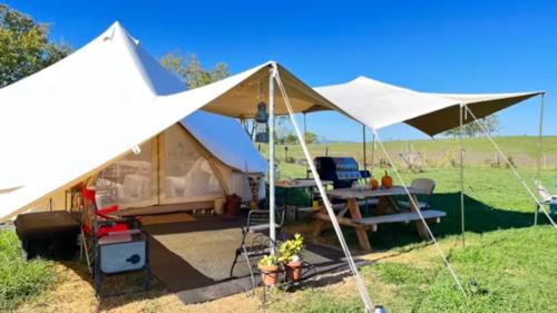 a tent with a table in a field at Glamping tent on farm Mountain views in Edinburg