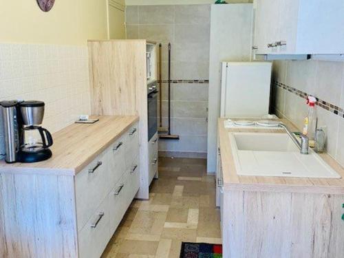 une cuisine avec un évier et un réfrigérateur blanc dans l'établissement Appartement F2 avec terrasse, parking, ascenseur et WIFI - Animaux acceptés - Amélie-les-Bains - FR-1-703-86, à Amélie-les-Bains-Palalda