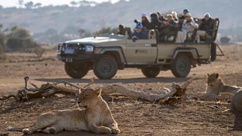 a group of people riding in the back of a safari truck at Kolokolo Safari Home - Mashatu Game Reserve in Lentswelemoriti
