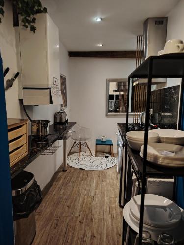 Il comprend une cuisine avec un comptoir et du parquet. dans l'établissement Movida, à Nice