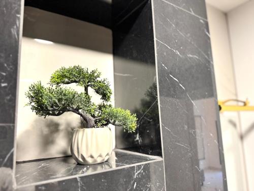 Φωτογραφία από το άλμπουμ του OPUS Boutique apartmani σε Opuzen