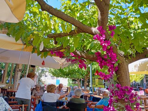 a tree with pink flowers hanging from it at Akrata Golden Beach House in Aíyira