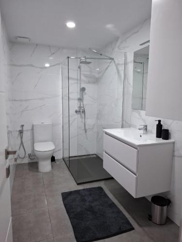 a bathroom with a shower and a toilet and a sink at Casa Machado in Cangas de Morrazo