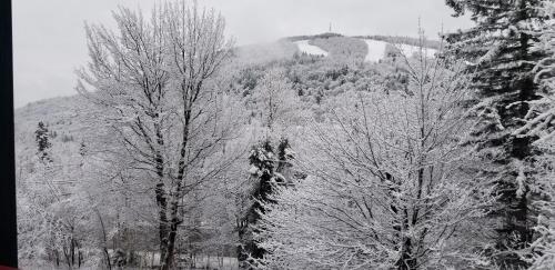a black and white photo of a mountain with trees at Mountain view chalet avec vue sur la montagne in Stoneham