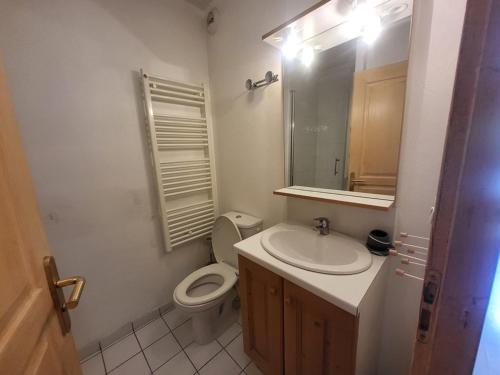 une salle de bain avec toilettes, lavabo et miroir dans l'établissement Appartement chaleureux au pied des pistes avec Wi-Fi - FR-1-266-212, à Montgenèvre
