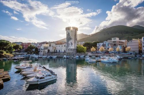a group of boats docked in a harbor at La Campagna di Peppe e Tullia in Formia