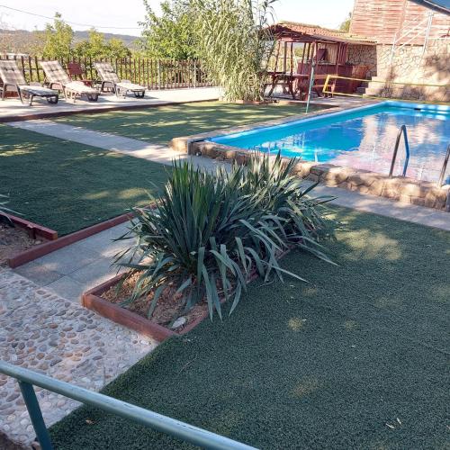 a swimming pool with plants in a yard at Attila's Guest House in Budaörs