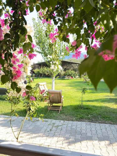 a chair and a tree in a park with pink flowers at ŞAH apart in Kemer