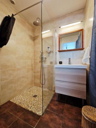 ein Badezimmer mit Dusche und Waschbecken in der Unterkunft Duplex central à Lyon pour 5 personnes in Lyon