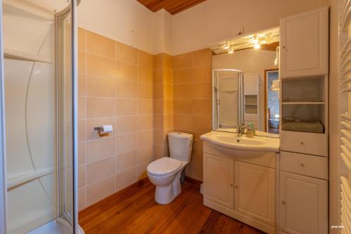 a bathroom with a toilet and a sink and a mirror at Au cœur de Bruniquel - Magnifique villa en pierres pour 7 personnes - Piscine privée - Poêle - Vue imprenable sur le village - Jardin - Garage in Bruniquel