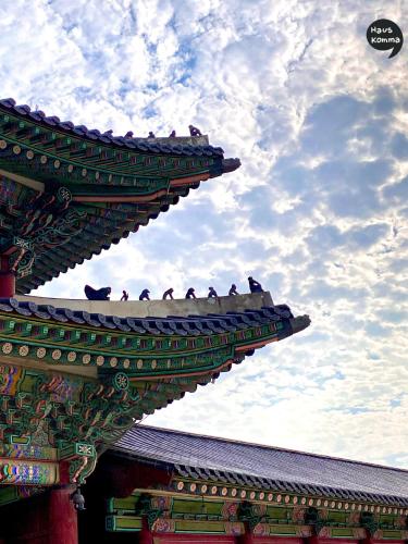 a roof of a building with birds sitting on it at HausKomma 서울 홍대,이태원,명동 짐보관 무료 주차 엘레베이터 새아파트 in Seoul