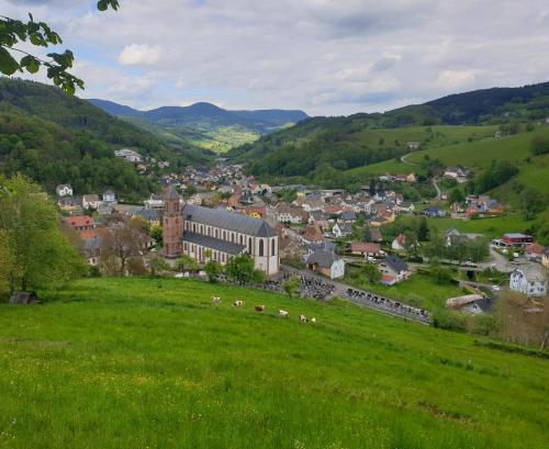 a green field with a town in the distance at Le Guèlèf - Appartement 2 personnes in Orbey