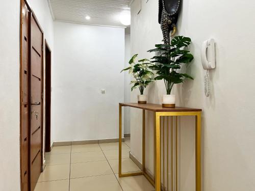 a hallway with a table with plants and a phone at Residence Atlantic - Premium Apartment - WiFi, Gardien, Parking, Climaté in Douala