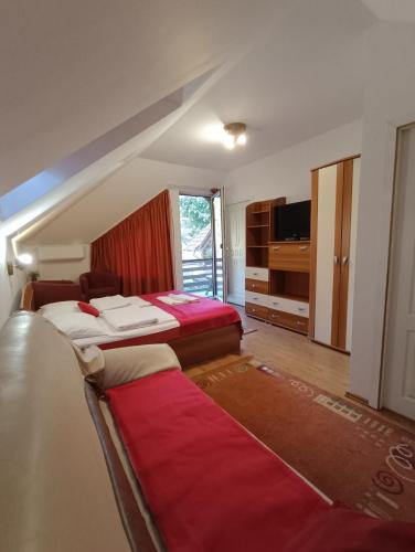a hotel room with two beds and a television at Pasager House in Sovata