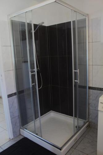a shower with a glass enclosure in a bathroom at Maison centaure in Maisonnais