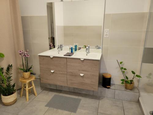 a bathroom with a sink and a mirror at Le Guèlèf - Appartement 2 personnes in Orbey