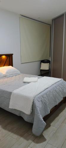 a bedroom with a large bed and a projector screen at Departamento céntrico y comodo in Santa Cruz de la Sierra