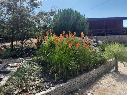 a garden with orange flowers in a stone wall at Bungalow da Pedreira in Viseu