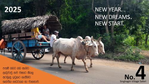 two cows are pulling a cart with people in it at Green Bamboo House in Sigiriya