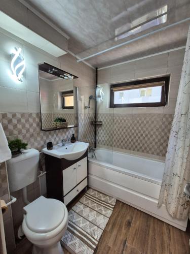 a bathroom with a toilet and a sink and a tub at Apartament Stefania Targu Ocna in Târgu Ocna