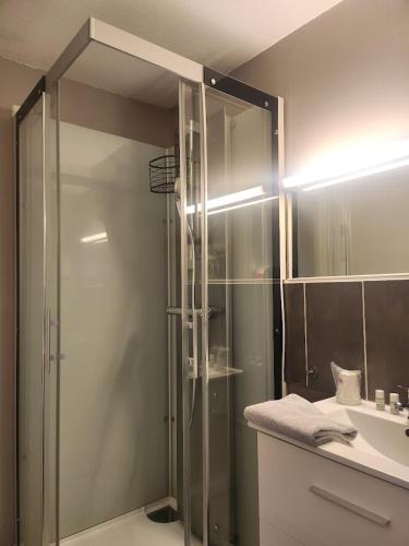 a bathroom with a glass shower and a sink at Ariane in Vichy