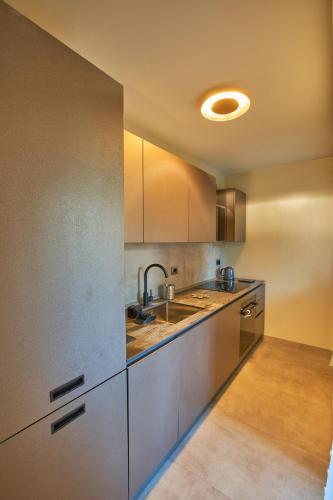 a kitchen with stainless steel cabinets and a sink at Nid Des Alpes - Courmayeur in Courmayeur