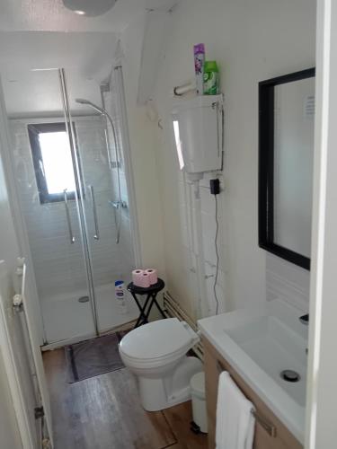 a white bathroom with a toilet and a shower at circuit expo zenith in Le Mans